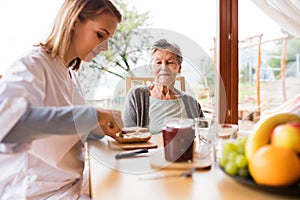 Health visitor and a senior woman during home visit.