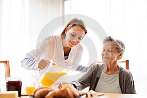 Health visitor and a senior woman during home visit.