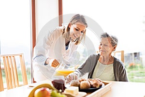 Health visitor and a senior woman during home visit.