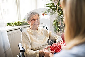 Health visitor and senior woman in wheelchair with a present at home at Christmas.