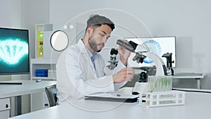 Healthcare analyst, medical technician and scientist working in a science lab. Young doctor doing a test or an