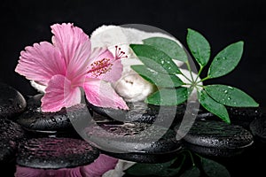 healthcare concept of pink hibiscus, green leaf shefler with drops and white stacked towels on zen stones in reflection water