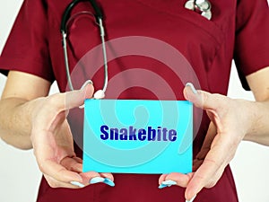 Healthcare concept about Snakebite with sign on the piece of paper