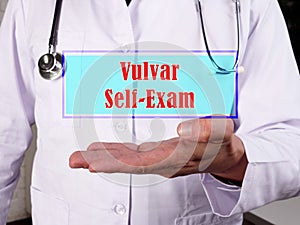 Healthcare concept about Vulvar Self-Exam with inscription on the sheet photo