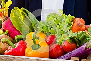 Healthcare with healthy eating, Multicolored of fresh vegetable in wood crate