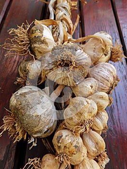 The healthiest food supplement garlic