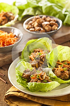 Healthy Asian Chicken Lettuce Wrap