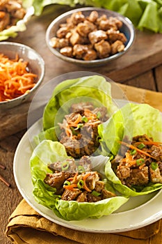 Healthy Asian Chicken Lettuce Wrap