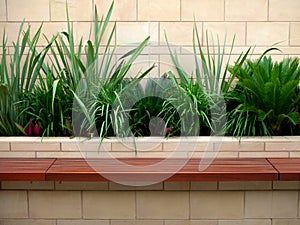 Healthy bench seat garden