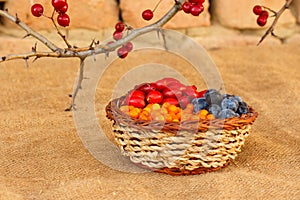 Healthy berries in rustic environment