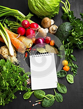 Healthy bio vegetables and spices with recipe notebook in the mi