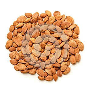 Healthy bitter apricot seeds. They contain vitamin B17