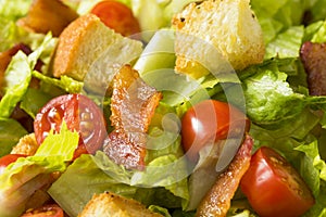 Healthy BLT Salad with Croutons