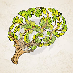 Healthy brain concept illustration. Tree and leaves in form of brain. Hand draw helthy conceptual brain illustration