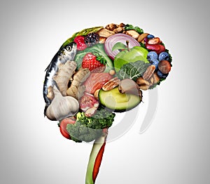 Healthy Brain Food