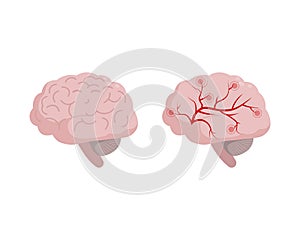 Healthy Brain icon isolated on white background, medical illustration in flat design. Cerebral circulation and spasm of