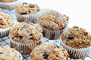 Healthy bran muffin