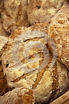 Healthy Bread photo