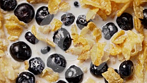Healthy breakfast with cereal and blueberry. Bowl with healthy cornflakes, milk and berries