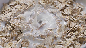 Healthy breakfast of cheerios whole grain cereals with milk, close up. Milk pouring into bowl. Pouring milk into a bowl