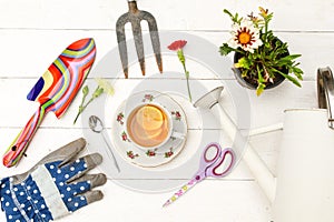 Healthy breakfast among gardening tools