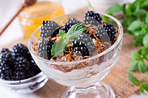 Healthy breakfast with homemade granola and fresh berries, yogurt with muesli and blackberries