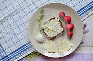 Healthy breakfast made of bread with sheep milk cheese, spring onion and radish