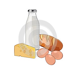 Healthy breakfast milk, bread, eggs, cheese. Protein farm food. Vector graphic illustration