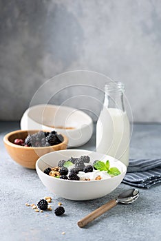 Healthy breakfast oatmeal granola bowl with yogurt and berries