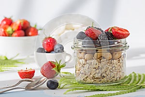 Healthy breakfast super food cereal concept with fresh fruit, granola, yoghurt, nuts and pollen grain, with foods high in protein,