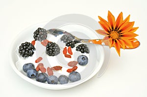 Healthy breakfast with yogurt , blueberry and blackberry