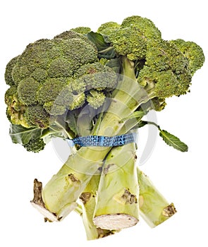 Healthy Broccoli Stalks