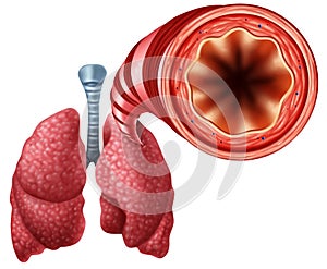 Healthy Bronchial Tube