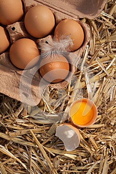 Healthy brown farm fresh eggs