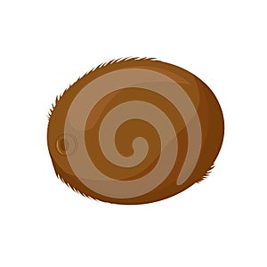 Healthy brown kiwi on white background. Isolated vector in flat style. Summer fruit for design