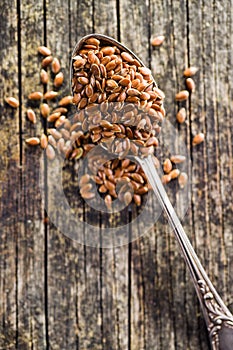 Healthy brown linseed.