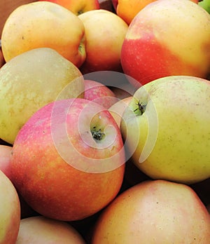 Healthy, bunch and natural apples from agriculture, above and fruit for nutrition, eating and harvest. Organic, fruits