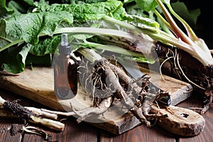 Healthy burdock root and fresh plant leaves on cutting board on rustic background