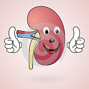 Healthy Cartoon Kidney