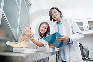 healthy cat is being held and weighed by two smiling vets looking at the camera photo