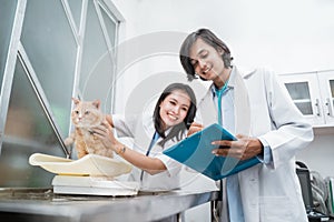 healthy cat is held and weighed by a female doctor and a male doctor taking notes on the clipboard