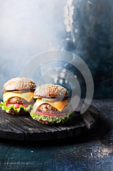 Healthy cheeseburger with whole wheat bun