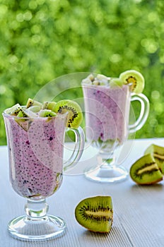 Healthy chia seeds pudding in two glasses with yogurt and fresh sliced kiwi fruit. Detox superfoods breakfast or diet dessert