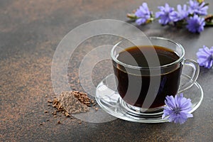 Healthy chicory drink in glass cup decorated chicory flowers.