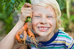 Healthy child in garden holding an unusual homegrown carrot