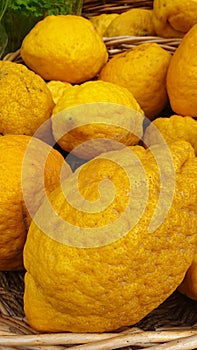 Basket full of fresh ripe citrons photo