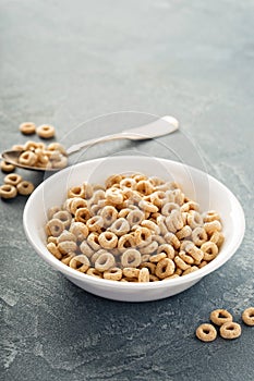 Healthy cold cereal in a white bowl