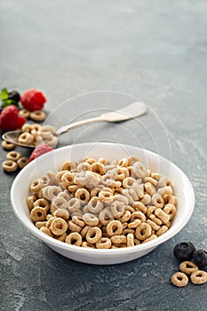 Healthy cold cereal in a white bowl