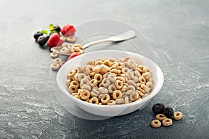 Healthy cold cereal in a white bowl