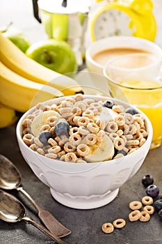 Healthy cold cereal in a white bowl